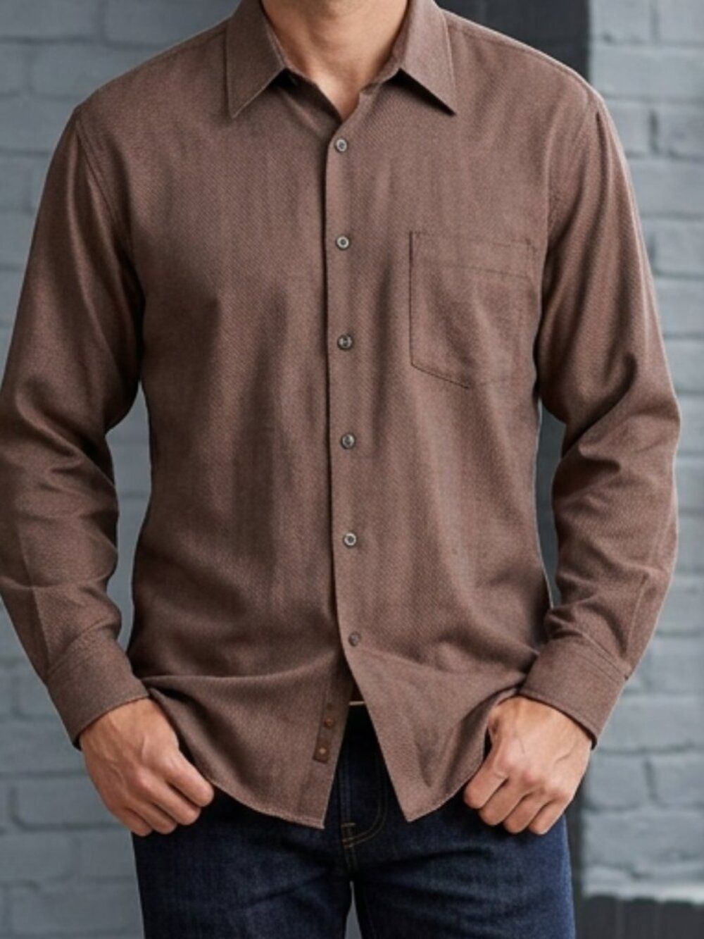 Hagar "No Iron" Casual Long Sleeve Shirt